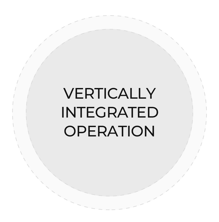 vertical integration